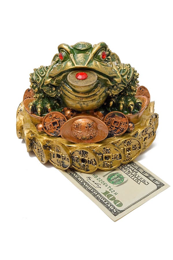 grenouille cent du dollar une garniture trois dessous photographie stock libre de droits grenouille cent du dollar une garniture trois dessous photographie stock libre de droits