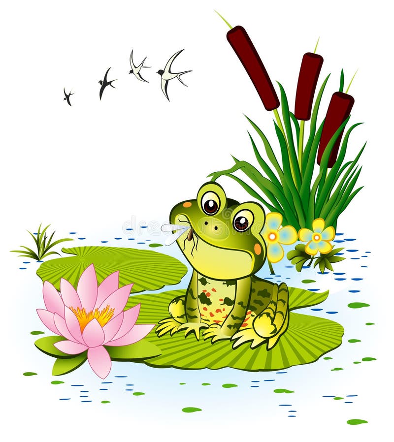 Grenouille mignonne Grenouille mignonne