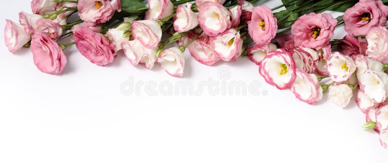 Grenze von rosa Blumen