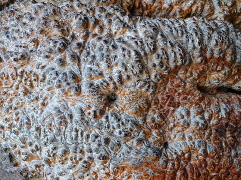 Grey ancient bubbly stone, relief structure. Brown lava rock background texture. Clinker wall or ground rusty pattern. Uneven. Surface with pimples stock photography Grey ancient bubbly stone, relief structure. Brown lava rock background texture. Clinker wall or ground rusty pattern. Uneven. Surface with pimples stock photography
