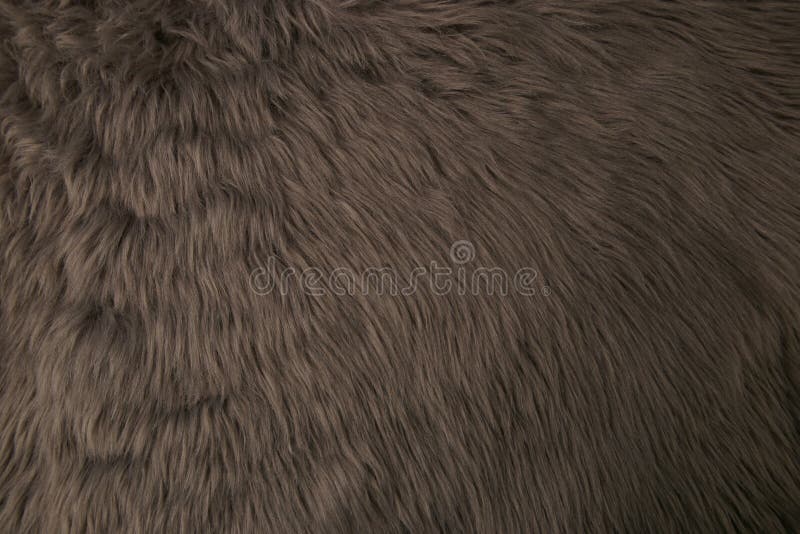 Grey Artificial Fur Background. Stock Photo - Image of decoration