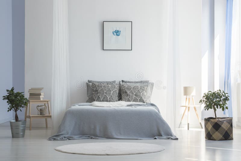 Grey bed between plants in white simple bedroom interior with po
