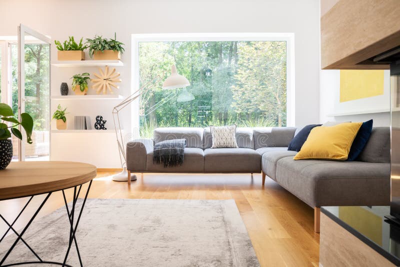 Grey corner couch with cushions in real photo of white living room interior with window, fresh plants, carpet and big lamp