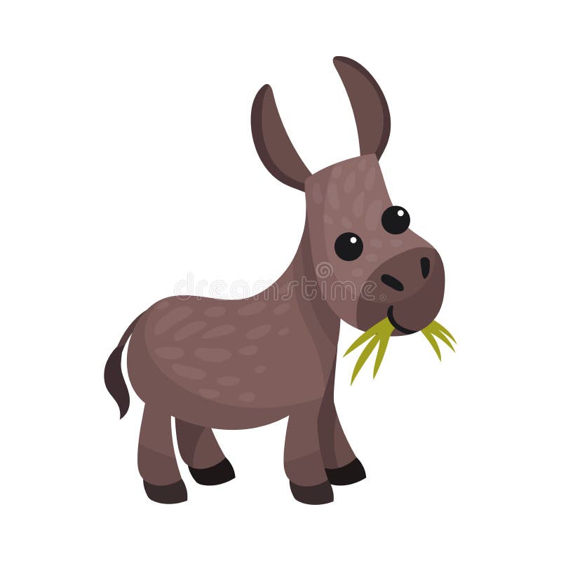 Grey Donkey As Farm Animal Chewing Grass Vector Illustration Stock Vector - Illustration of hoof, homestead: 195898615 Grey Donkey As Farm Animal Chewing Grass Vector Illustration Stock Vector - Illustration of hoof, homestead: 195898615