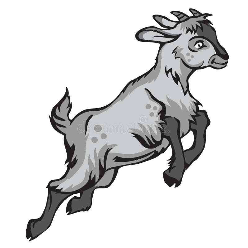 Grey Goat