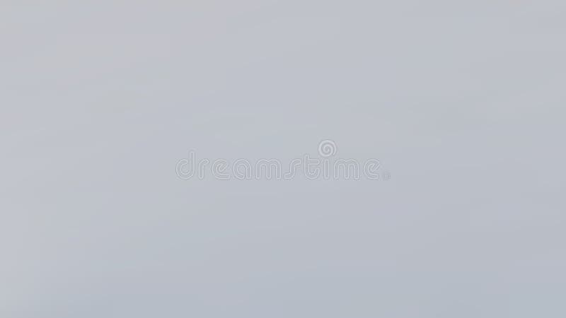 Grey gradient background vector. White gradient studio illustration. Elegant wall with smooth gradient. vector illustration