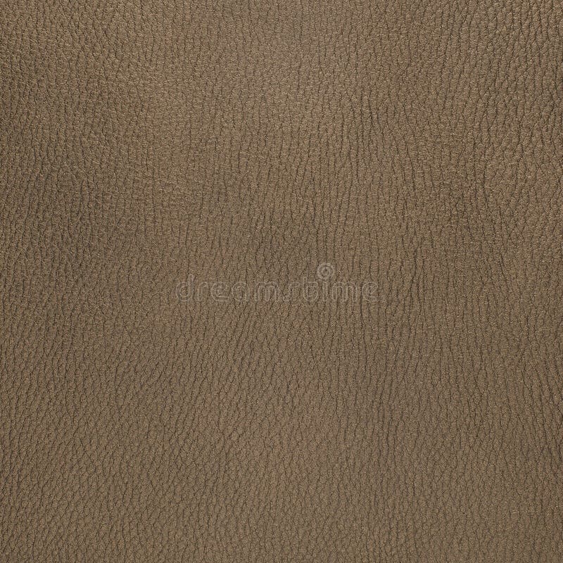 Grey Leather Texture Closeup Stock Photo - Image of fashion, clothes ...