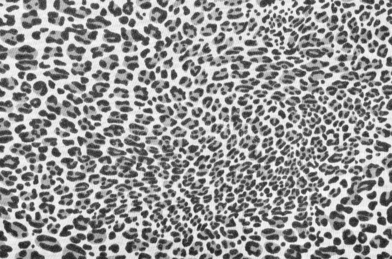 Grey leopard fur pattern. stock photo. Image of illustration 57781940