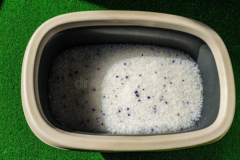 Litter Box with Sand on Bathroom Floor Stock Photo Image of floor