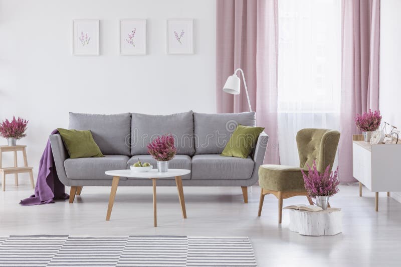Grey settee with green cushions and purple blanket in real photo of white living room interior with coffee table royalty free stock images Grey settee with green cushions and purple blanket in real photo of white living room interior with coffee table royalty free stock images