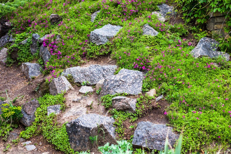 Grey Stones in the Green Garden Stock Image Image of nature, bush