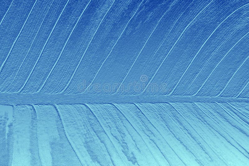 Grey Cover Stock Images Download 28,779 Royalty Free Photos