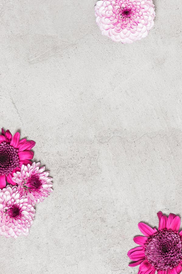 Grey Textured Background Decorated with Flowers Stock Image - Image of