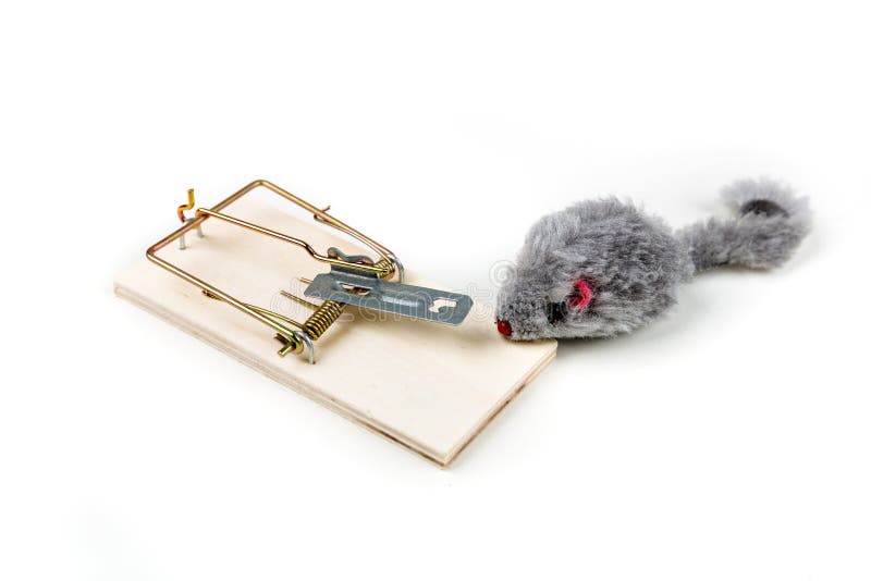 https://thumbs.dreamstime.com/b/grey-toy-mouse-prowling-around-wood-mouse-trap-grey-toy-mouse-prowling-around-wood-mouse-trap-snap-kill-white-little-crawl-159315442.jpg