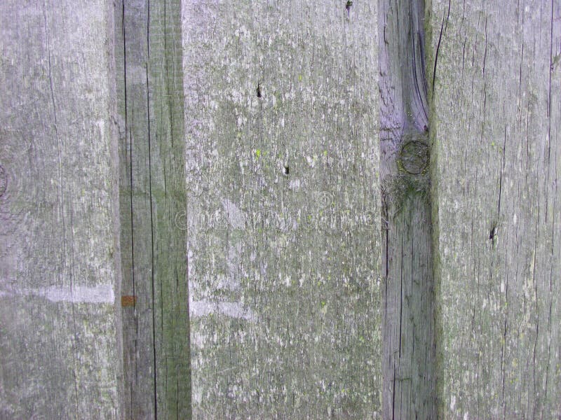 Grey Wood Planks Background trätextur, golvvägg, effekt 3D arkivfoto Grey Wood Planks Background trätextur, golvvägg, effekt 3D arkivfoto