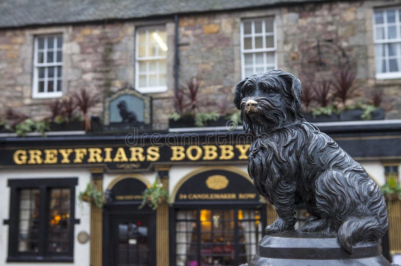 Greyfriars Бобби в Эдинбурге стоковое изображение Greyfriars Бобби в Эдинбурге стоковое изображение