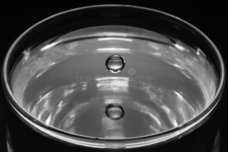 Greyscale Shot of a Glass of Water with a Crystal Water Drop Stock