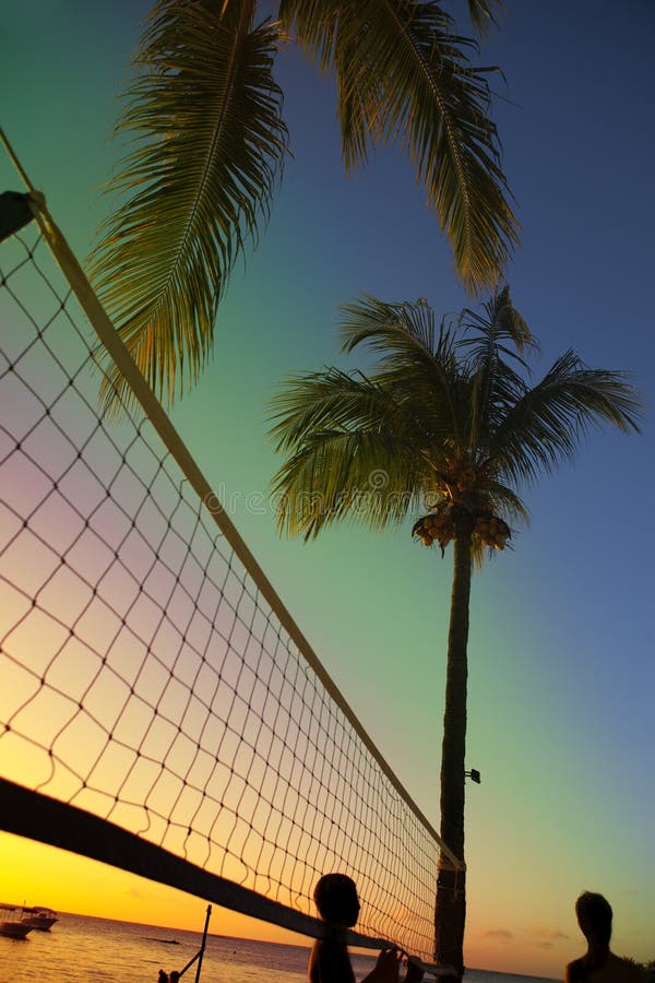 Volleyball Net, Volleyball On Beach And Palm Trees Stock Photo Image