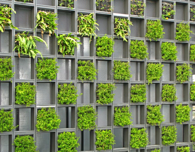 Grid wall of plants stock photo. Image of leaves, wall 13850034
