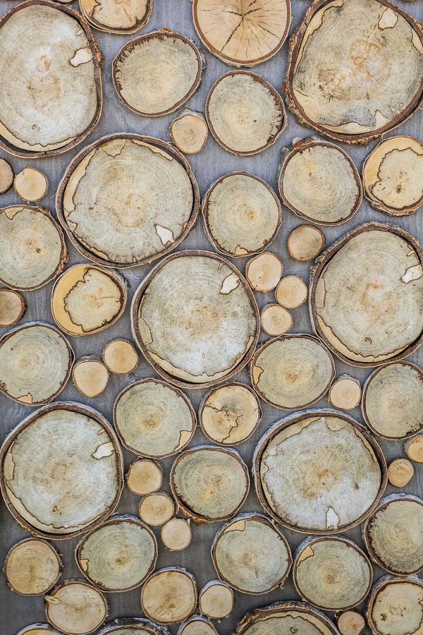 Grietas, anillos anuales, textura de la madera, forma redonda de la corteza, que se tallan de un árbol grande y pequeño Fondo ver fotografía de archivo Grietas, anillos anuales, textura de la madera, forma redonda de la corteza, que se tallan de un árbol grande y pequeño Fondo ver fotografía de archivo