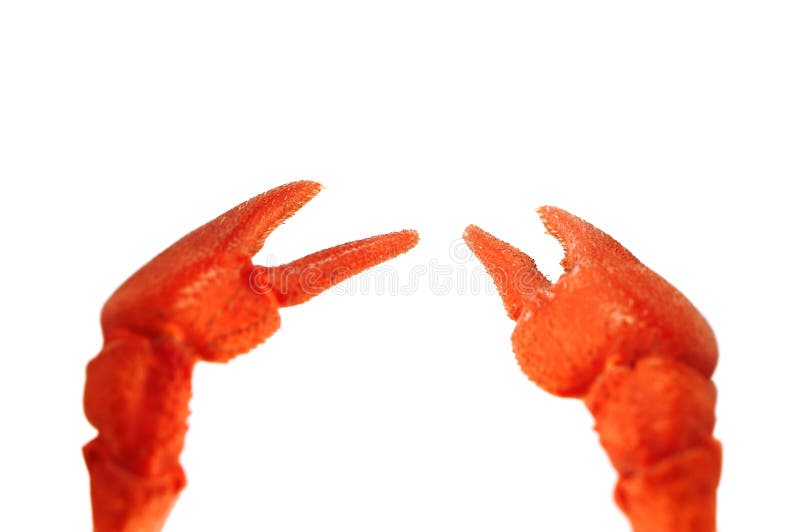 Griffe image libre de droits