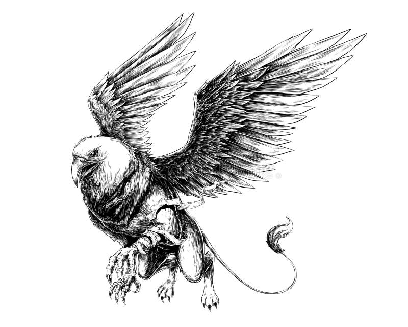 Griffin Drawing PNG