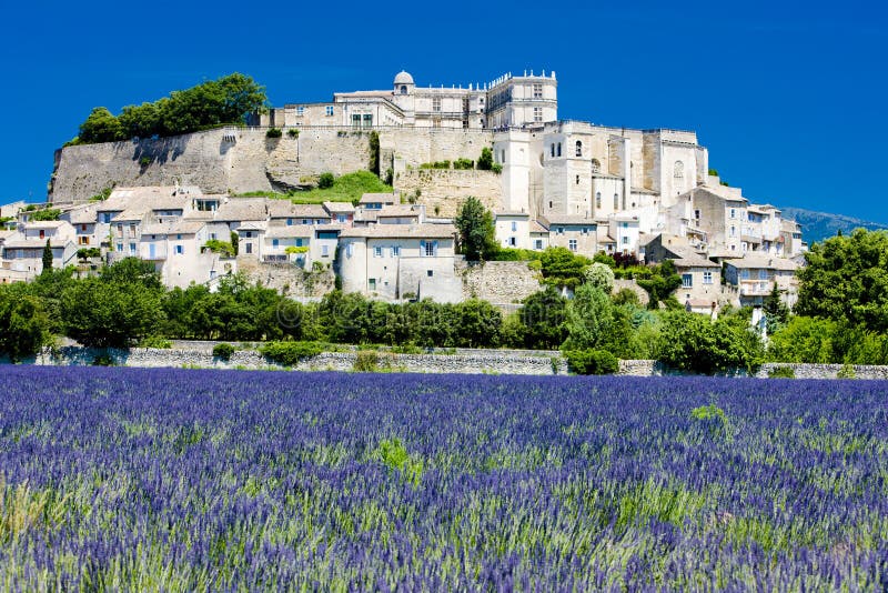 Grignan with lavender field