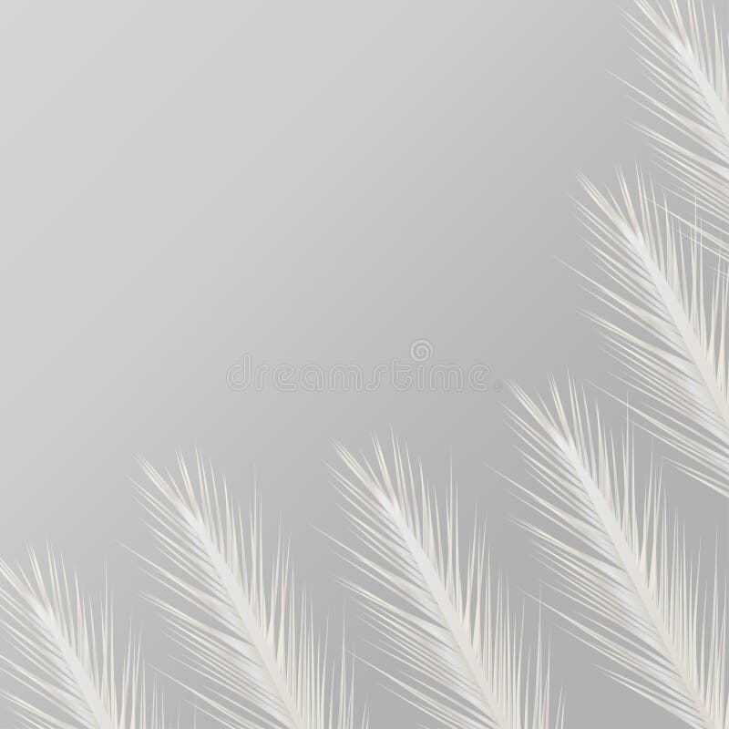 Grijze achtergrond met witte veren stock illustratie Grijze achtergrond met witte veren stock illustratie