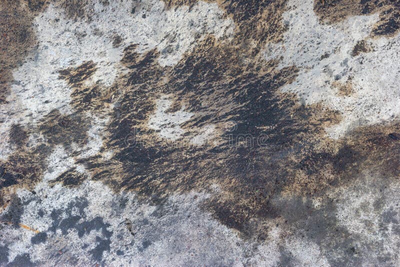 Gray cement floor with soil and wet,Texture Background ,Abstract background. Gray cement floor with soil and wet,Texture Background ,Abstract background.