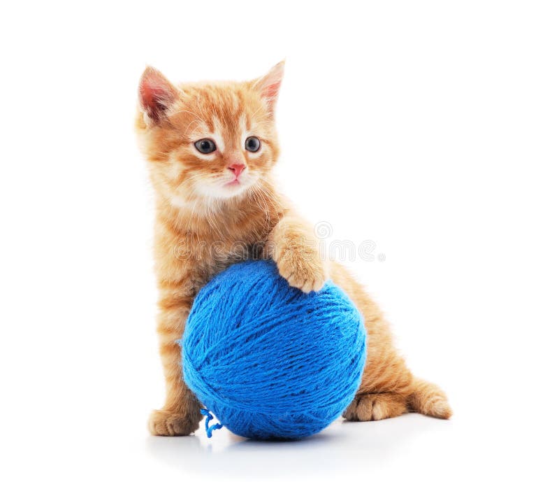 Grijze kitten met een bal stock foto's Grijze kitten met een bal stock foto's