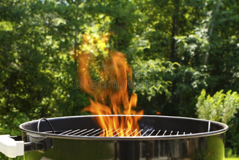 Grille De Gril De Barbecue BBQ, Le Feu, Charbon De Bois Photo stock - Image  du noir, chaud: 102148758