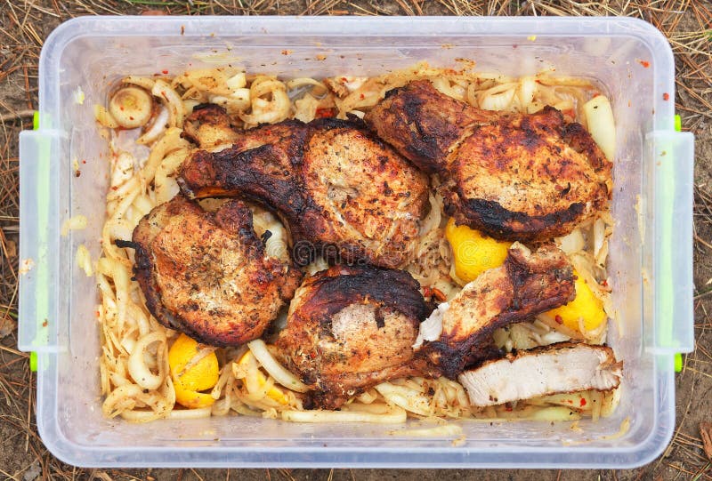 Griledplakken van varkensvlees in container met marinade stock foto Griledplakken van varkensvlees in container met marinade stock foto