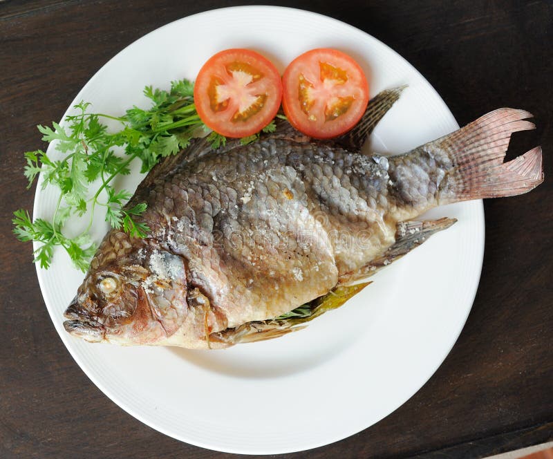 Grill fish stock photo. Image of meat, testy, fish, cuisine 4852482