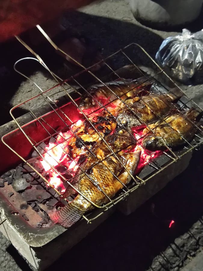 Grill Fish on the stove stock photo. Image of charcoal 261760446
