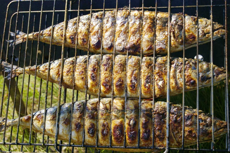 Grill fish stock photo. Image of time, sunset, grate 88141470