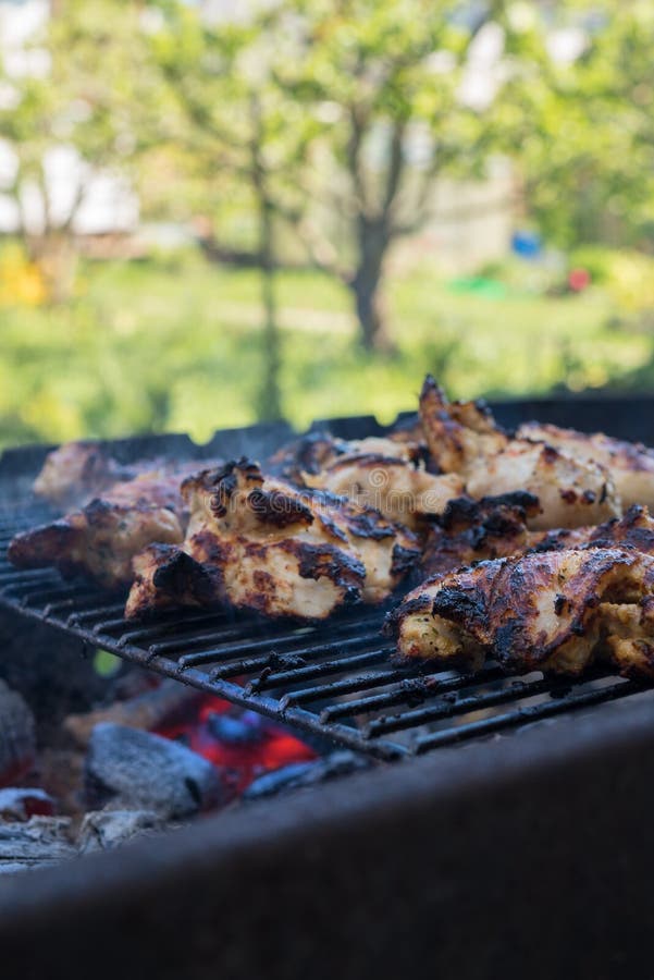The grill season is open. stock photo. Image of souvlaki 185547058