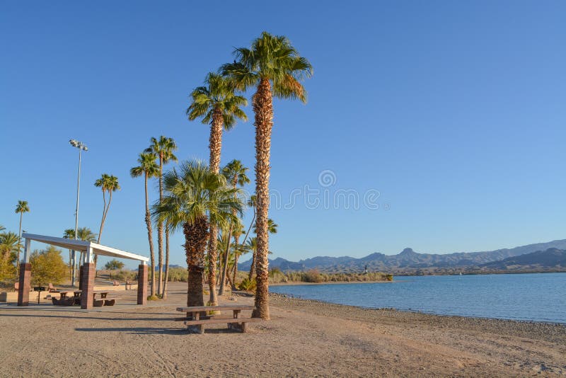 Barbecue and Picnic Table under a shade canopy and Palm Trees in Rotary Community Park, Lake Havasu, Mohave County, Arizona USA. Barbecue and Picnic Table under a shade canopy and Palm Trees in Rotary Community Park, Lake Havasu, Mohave County, Arizona USA.