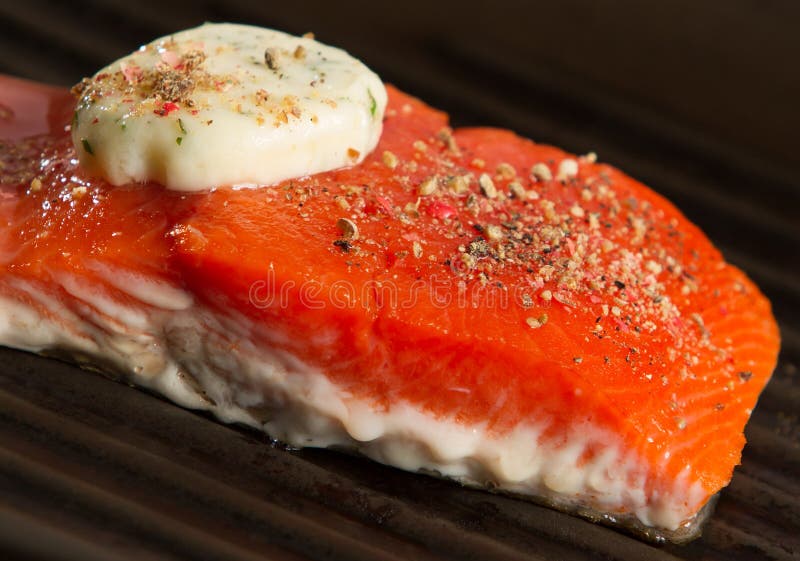 Grilla nya Salmon Fillet Close Up royaltyfri foto