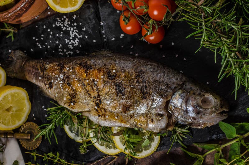 Grillad forell med örter arkivbilder Grillad forell med örter arkivbilder