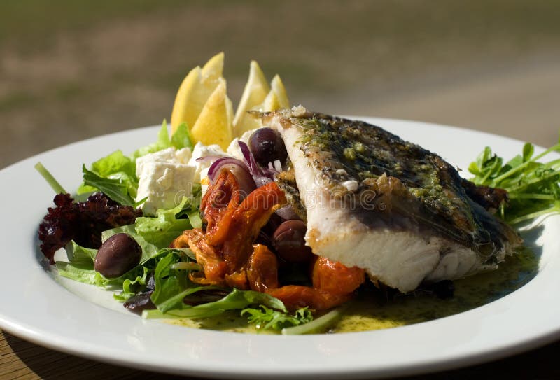 Barramundi stock photo. Image of barbeque, cook, grill 1079458