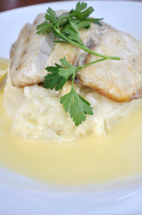 Grilled Barramundi Fillet stock photo. Image of plate 15483108