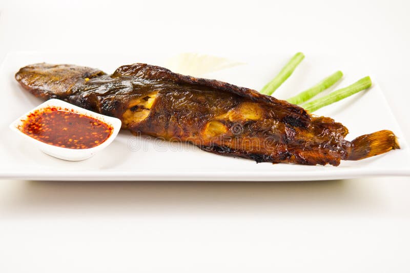 Grilled Catfish and Chicken Stock Image Image of dinner, sauce 96266393