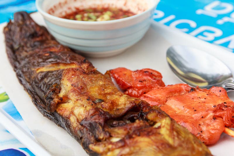 Grilled Catfish and Chicken Stock Image Image of dinner, sauce 96266393