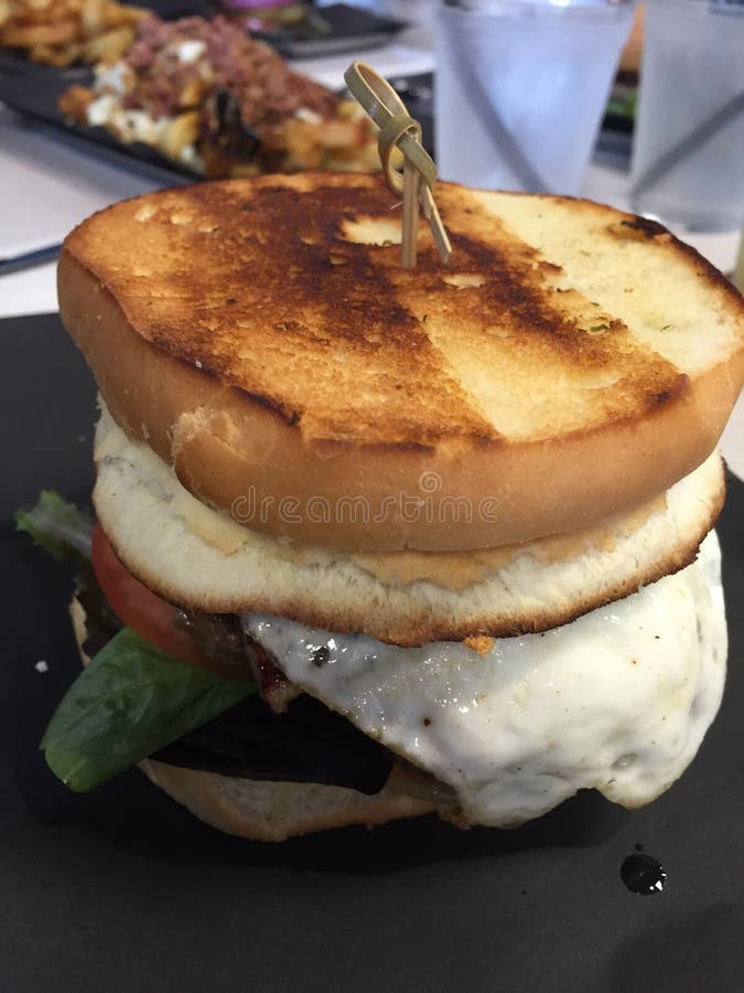 Grilled cheese egg burger stock image. Image of burger 80003533