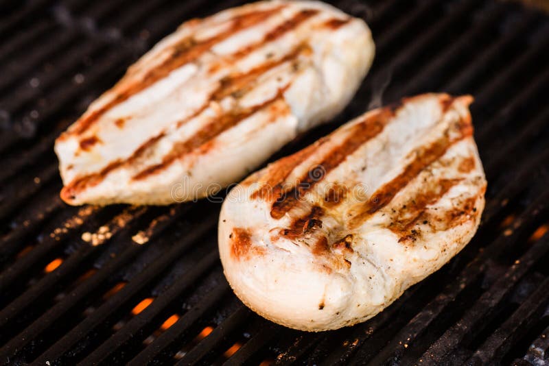 Grilled Chicken Breast Fillets on BBQ Stock Image Image of pink, white 52388097