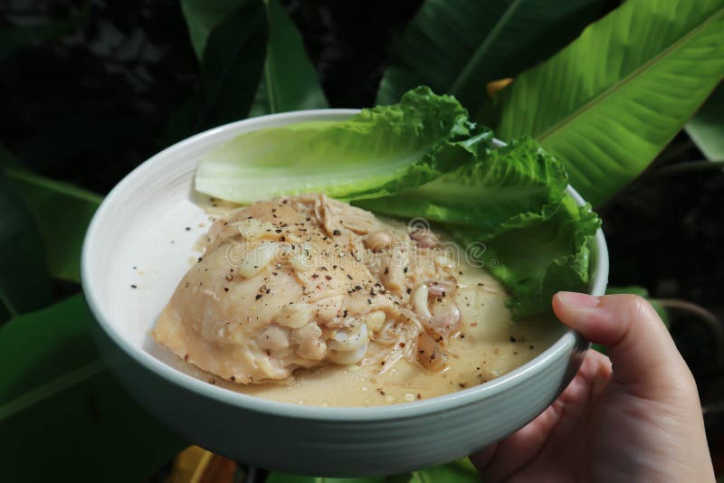 Grilled Chicken or Chicken Steak with White Cream Sauce Stock Image