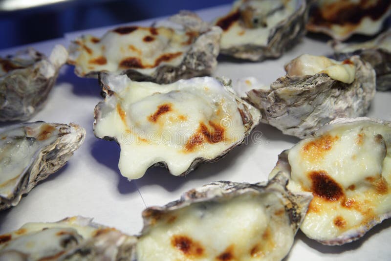 Download Grilled shellfish stock photo. Image of seafood, mussel - 18620260