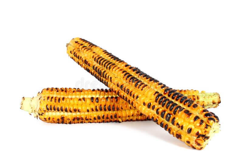 Grilled corn cob