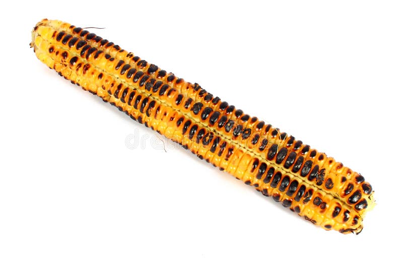 Grilled corn cob