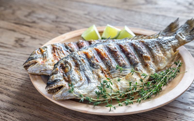 Grilled Dorade Royale Fish stock photo. Image of gilt 75858694